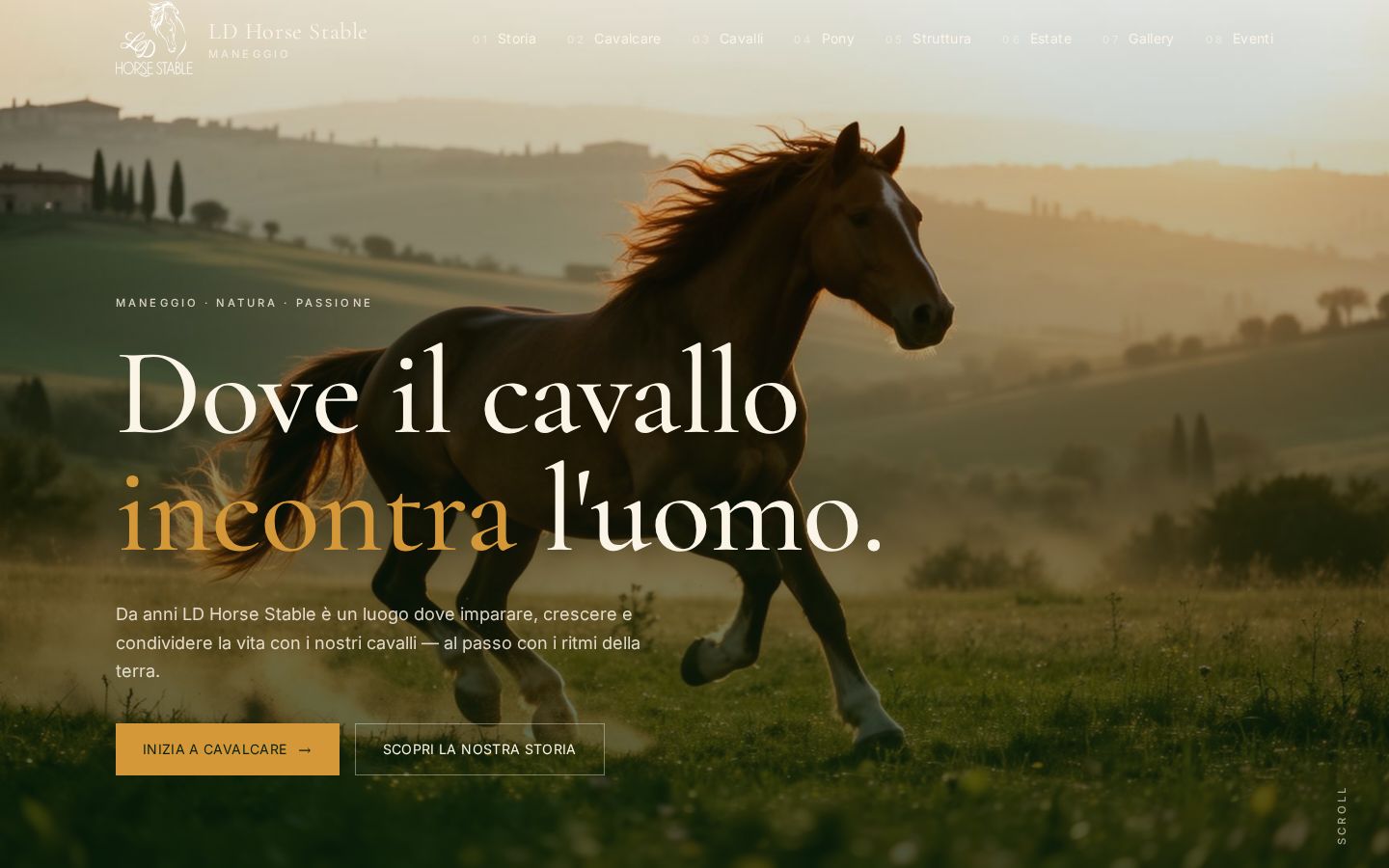 Sito LD Horse realizzato da Enrico Mingiacchi